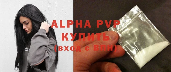 ПСИЛОЦИБИНОВЫЕ ГРИБЫ Тайга