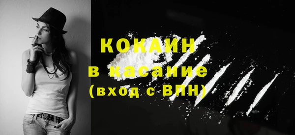 крисы Богданович