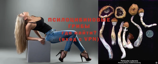бошки Белокуриха
