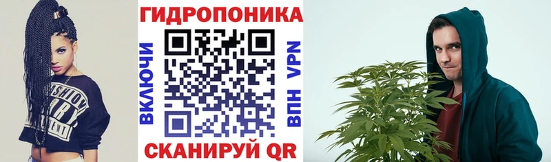 Каннабис Bruce Banner  где купить   Котовск 